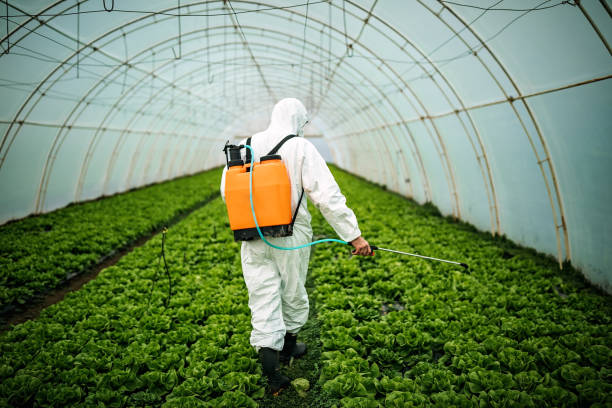 Best Pest Control for Restaurants  in , IA