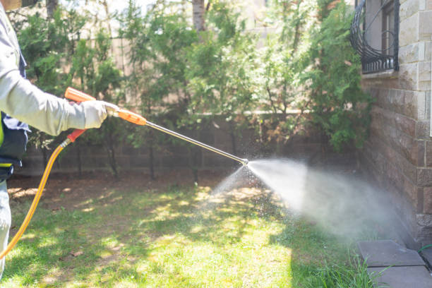 Best Emergency Pest Control  in , IA