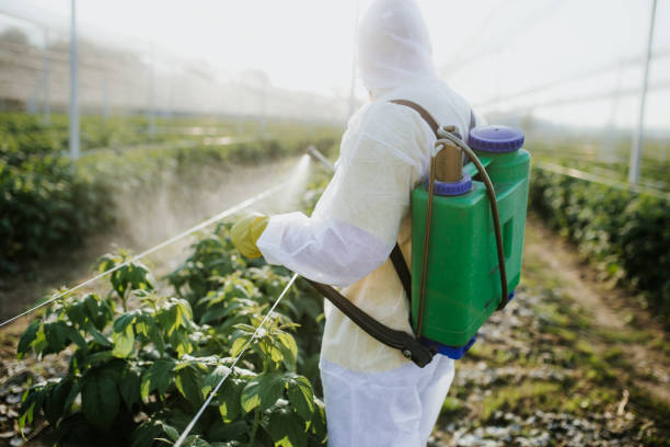 Best Cockroach Control Services  in , IA